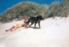 Thumbs/tn_2003Am Strand3.jpg